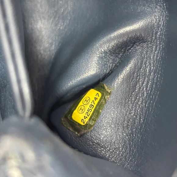 Chanel Blue Mini Python Coco Handle Bag - Picture 10 of 16